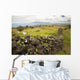 Hawaii, Maui, Kula, A stone wall lines a country road Wall Mural