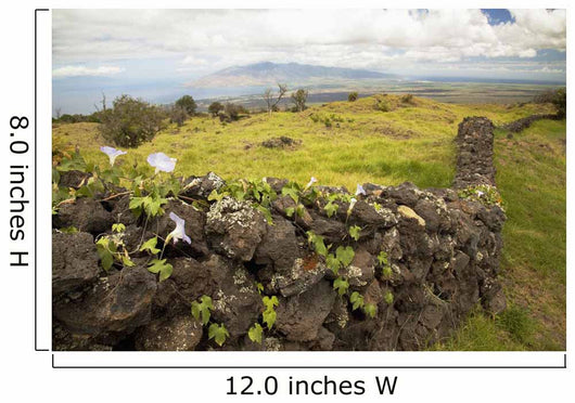 Hawaii, Maui, Kula, A stone wall lines a country road Wall Mural
