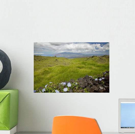 Hawaii, Maui, Kula, A stone wall lines a country road Wall Mural