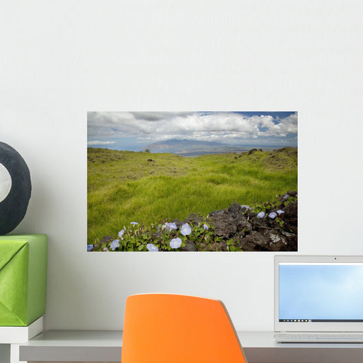 Hawaii, Maui, Kula, A stone wall lines a country road Wall Mural