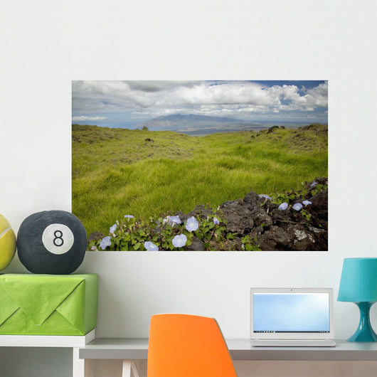 Hawaii, Maui, Kula, A stone wall lines a country road Wall Mural