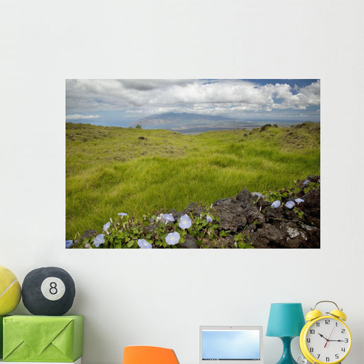 Hawaii, Maui, Kula, A stone wall lines a country road Wall Mural