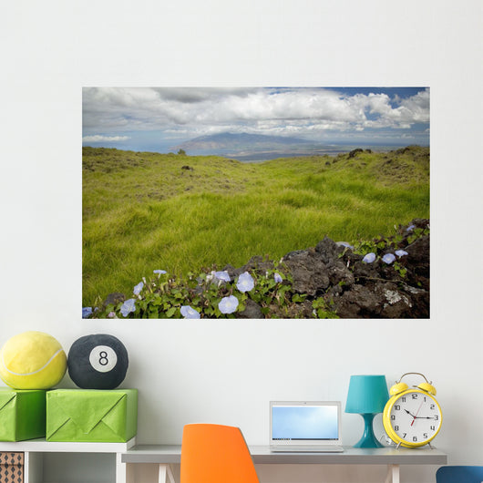 Hawaii, Maui, Kula, A stone wall lines a country road Wall Mural