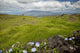 Hawaii, Maui, Kula, A stone wall lines a country road Wall Mural