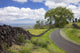 A stone wall lines a country road with views of Maui in the background Wall Mural