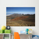 Hawaii, Maui, Haleakala Crater landscape Wall Mural