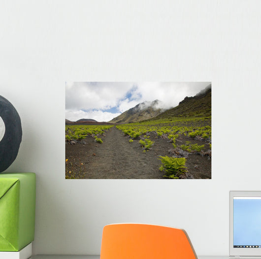 Hawaii, Maui, Haleakala, The hiking trail through the Volcanic Crater Wall Mural