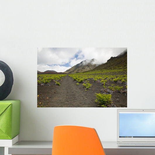 Hawaii, Maui, Haleakala, The hiking trail through the Volcanic Crater Wall Mural