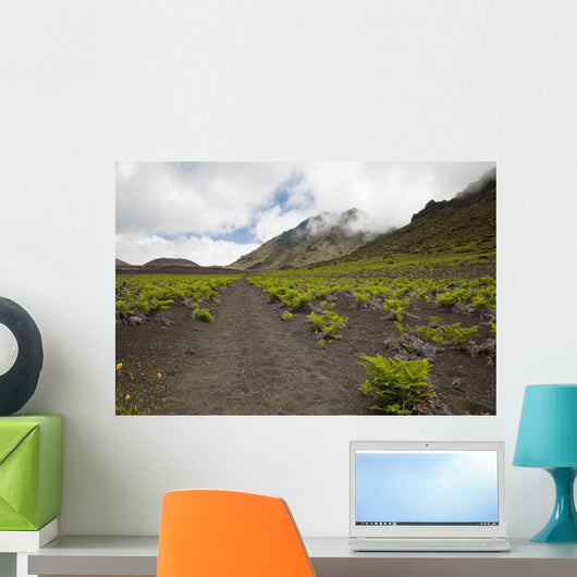 Hawaii, Maui, Haleakala, The hiking trail through the Volcanic Crater Wall Mural