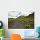 Hawaii, Maui, Haleakala, The hiking trail through the Volcanic Crater Wall Mural