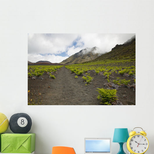 Hawaii, Maui, Haleakala, The hiking trail through the Volcanic Crater Wall Mural