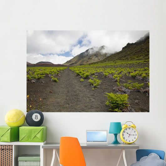 Hawaii, Maui, Haleakala, The hiking trail through the Volcanic Crater Wall Mural