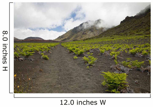 Hawaii, Maui, Haleakala, The hiking trail through the Volcanic Crater Wall Mural