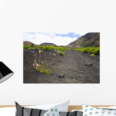 Hawaii Maui Haleakala Hiking Wall Mural shown on a wall