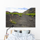 Hawaii, Maui, Haleakala, The hiking trail through the Volcanic Crater Wall Mural