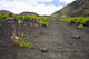 Hawaii, Maui, Haleakala, The hiking trail through the Volcanic Crater Wall Mural