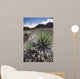 Hawaii, Maui, Haleakala, A close up view of a healthy silversword Wall Mural