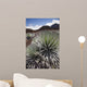Hawaii, Maui, Haleakala, A close up view of a healthy silversword Wall Mural