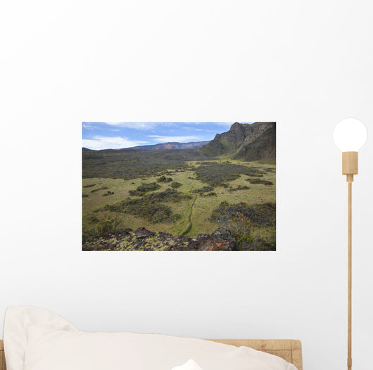 Hawaii, Maui, Haleakala, The hiking trail through the Volcanic Crater Wall Mural
