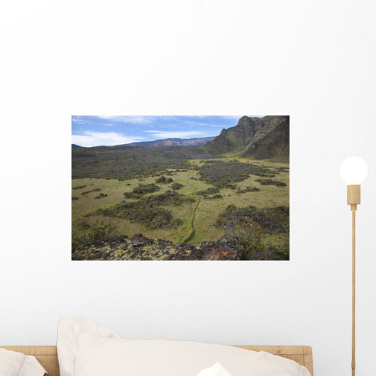 Hawaii, Maui, Haleakala, The hiking trail through the Volcanic Crater Wall Mural