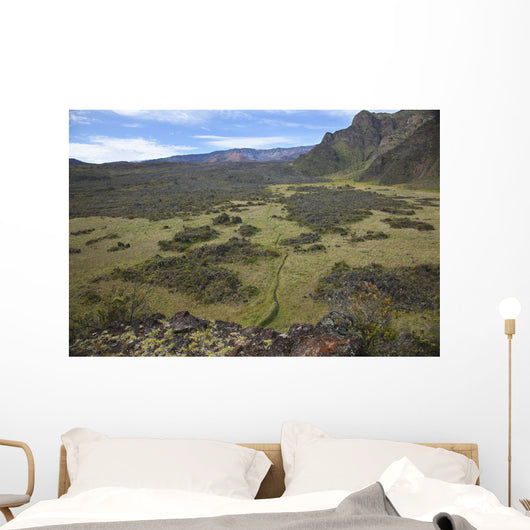 Hawaii, Maui, Haleakala, The hiking trail through the Volcanic Crater Wall Mural