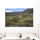 Hawaii, Maui, Haleakala, The hiking trail through the Volcanic Crater Wall Mural