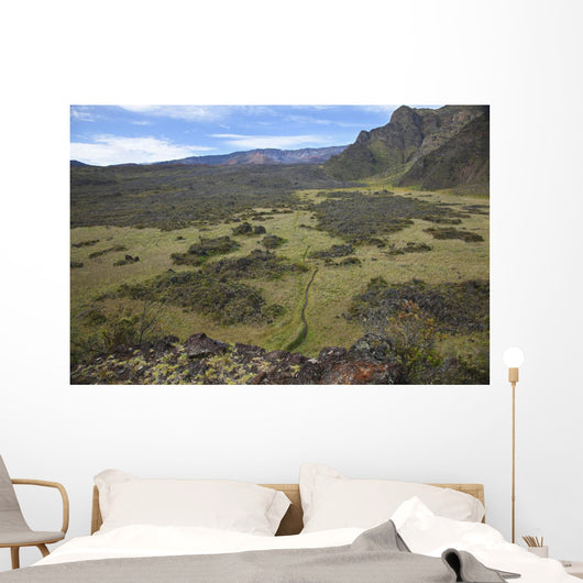 Hawaii, Maui, Haleakala, The hiking trail through the Volcanic Crater Wall Mural