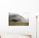 Hawaii, Maui, Haleakala, A lone tree among the cloudy Paliku Cliffs Wall Mural