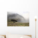 Hawaii, Maui, Haleakala, A lone tree among the cloudy Paliku Cliffs Wall Mural