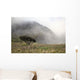 Hawaii, Maui, Haleakala, A lone tree among the cloudy Paliku Cliffs Wall Mural
