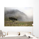 Hawaii, Maui, Haleakala, A lone tree among the cloudy Paliku Cliffs Wall Mural