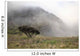Hawaii, Maui, Haleakala, A lone tree among the cloudy Paliku Cliffs Wall Mural