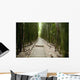 Trail through bamboo forest on the Pipiwai trail Wall Mural