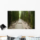 Trail through bamboo forest on the Pipiwai trail Wall Mural