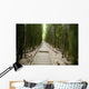 Trail through bamboo forest on the Pipiwai trail Wall Mural