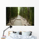 Trail through bamboo forest on the Pipiwai trail Wall Mural