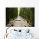 Trail through bamboo forest on the Pipiwai trail Wall Mural