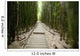 Trail through bamboo forest on the Pipiwai trail Wall Mural