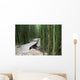 Trail through bamboo forest on the Pipiwai trail Wall Mural