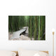 Trail through bamboo forest on the Pipiwai trail Wall Mural