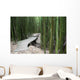 Trail through bamboo forest on the Pipiwai trail Wall Mural
