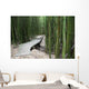 Trail through bamboo forest on the Pipiwai trail Wall Mural