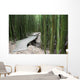 Trail through bamboo forest on the Pipiwai trail Wall Mural