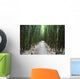 Trail through bamboo forest on the Pipiwai trail Wall Mural