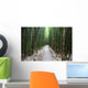 Trail through bamboo forest on the Pipiwai trail Wall Mural