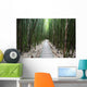 Trail through bamboo forest on the Pipiwai trail Wall Mural