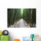 Trail through bamboo forest on the Pipiwai trail Wall Mural