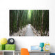 Trail through bamboo forest on the Pipiwai trail Wall Mural