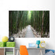 Trail through bamboo forest on the Pipiwai trail Wall Mural