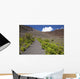 Hawaii, Maui, Haleakala, The hiking trail through the Volcanic Crater Wall Mural